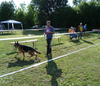 Foto: Stefan Lehnert