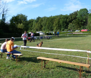 Foto: Stefan Lehnert