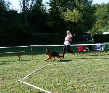 Foto: Stefan Lehnert