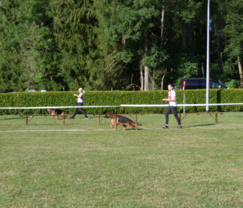 Foto: Stefan Lehnert