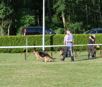 Foto: Stefan Lehnert