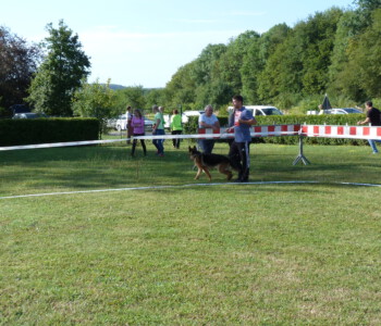 Foto: Stefan Lehnert