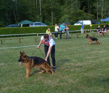 Foto: Stefan Lehnert