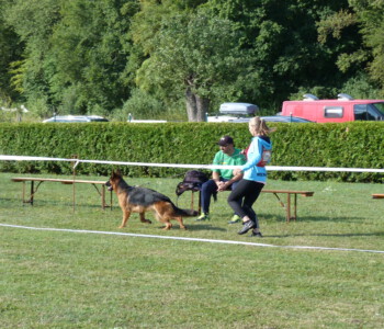 Foto: Stefan Lehnert