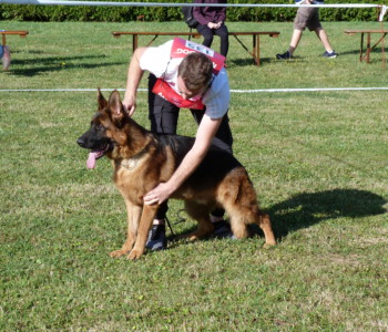 Foto: Stefan Lehnert