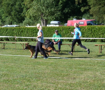 Foto: Stefan Lehnert