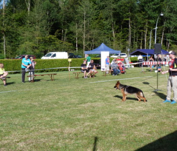 Foto: Stefan Lehnert