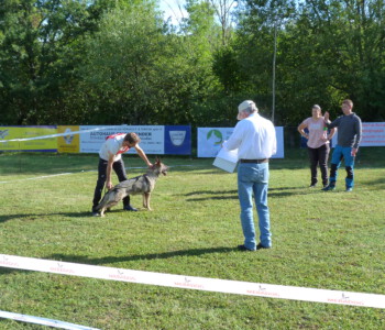 Foto: Stefan Lehnert