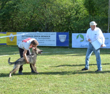 Foto: Stefan Lehnert
