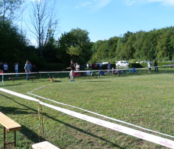 Foto: Stefan Lehnert