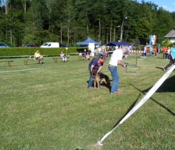 Foto: Stefan Lehnert