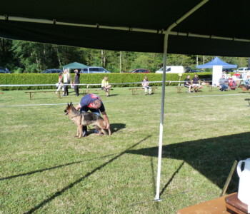 Foto: Stefan Lehnert