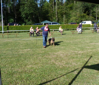 Foto: Stefan Lehnert