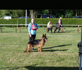 Foto: Stefan Lehnert