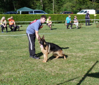 Foto: Stefan Lehnert