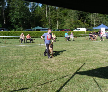 Foto: Stefan Lehnert