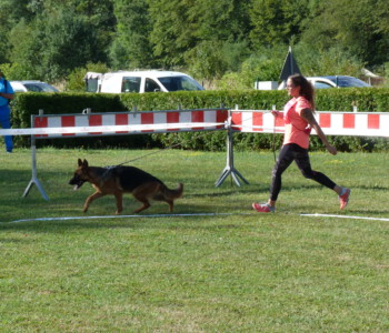 Foto: Stefan Lehnert