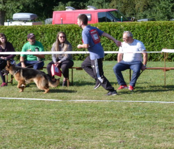 Foto: Stefan Lehnert