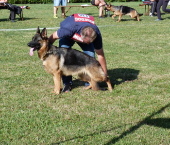 Foto: Stefan Lehnert