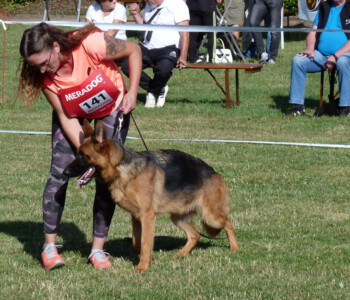 Foto: Stefan Lehnert