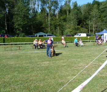 Foto: Stefan Lehnert