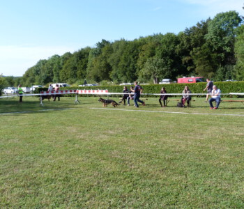 Foto: Stefan Lehnert