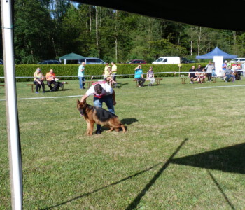 Foto: Stefan Lehnert