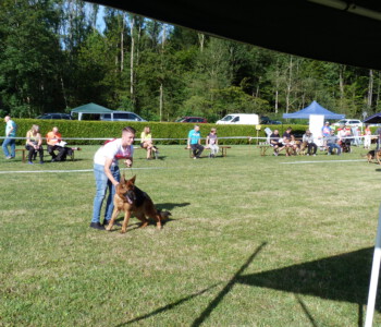 Foto: Stefan Lehnert