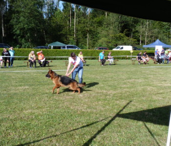 Foto: Stefan Lehnert