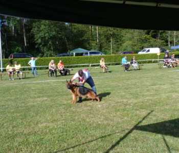 Foto: Stefan Lehnert