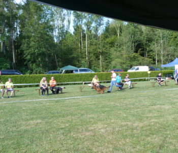 Foto: Stefan Lehnert