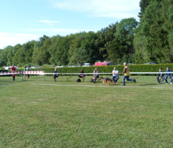 Foto: Stefan Lehnert