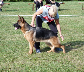 Foto: Stefan Lehnert