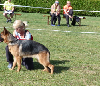 Foto: Stefan Lehnert