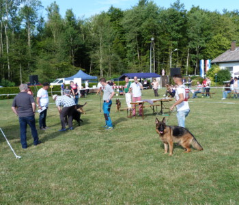 Foto: Stefan Lehnert