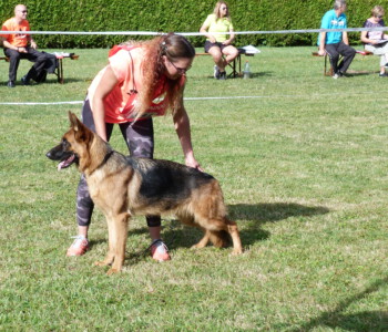 Foto: Stefan Lehnert