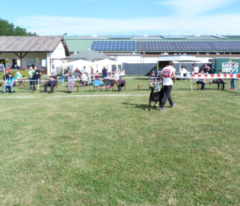 Foto: Stefan Lehnert