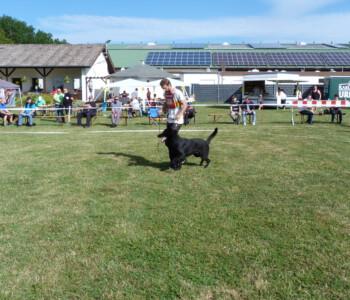 Foto: Stefan Lehnert