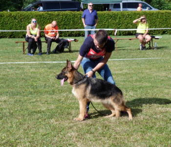 Foto: Stefan Lehnert