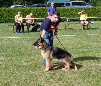 Foto: Stefan Lehnert