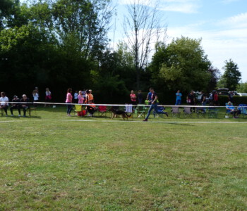 Foto: Stefan Lehnert