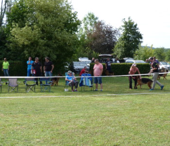 Foto: Stefan Lehnert