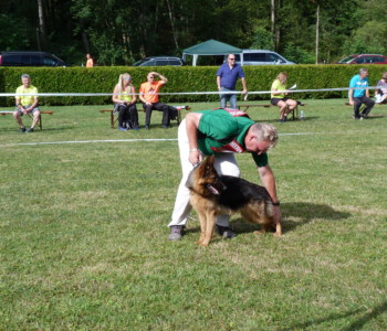 Foto: Stefan Lehnert