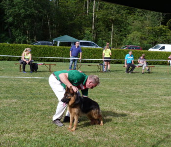 Foto: Stefan Lehnert