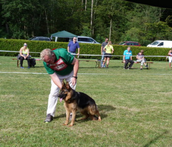 Foto: Stefan Lehnert