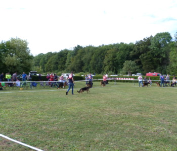 Foto: Stefan Lehnert