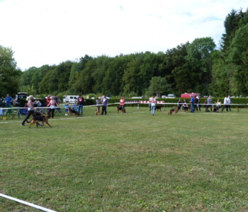 Foto: Stefan Lehnert