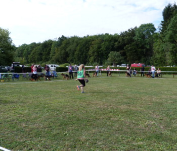 Foto: Stefan Lehnert