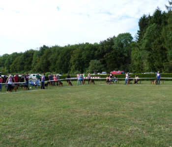 Foto: Stefan Lehnert