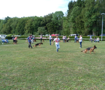 Foto: Stefan Lehnert